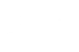 shaw-floors-logo-white (1)